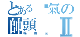 とある煞氣の帥頭Ⅱ（楊廣元）