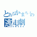 とあるかまちょの逃走劇（小林せある）