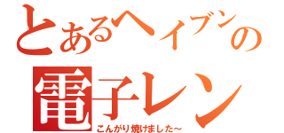 とあるヘイブンの電子レンジ（こんがり焼けました～）