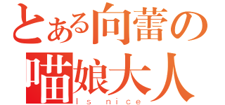 とある向蕾の喵娘大人（Ｉｓ ｎｉｃｅ）