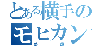 とある横手のモヒカン（野郎）