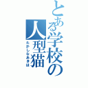 とある学校の人型猫（たかしなあきほ）