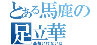 とある馬鹿の足立華（高校いけないね）