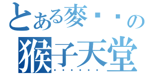 とある麥棨样の猴子天堂（吱吱吱吱吱吱）