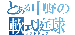 とある中野の軟式庭球（ソフトテニス）