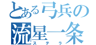 とある弓兵の流星一条（ステラ）