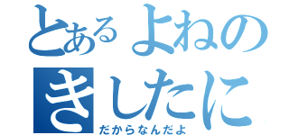 とあるよねのきしたにネコ（だからなんだよ）