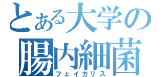 とある大学の腸内細菌（フェイカリス）