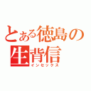 とある徳島の生背信（インセックス）