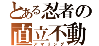 とある忍者の直立不動（アマリング）