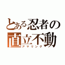 とある忍者の直立不動（アマリング）