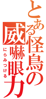 とある怪鳥の威嚇眼力（にらみつける）