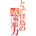 とある怪鳥の威嚇眼力（にらみつける）