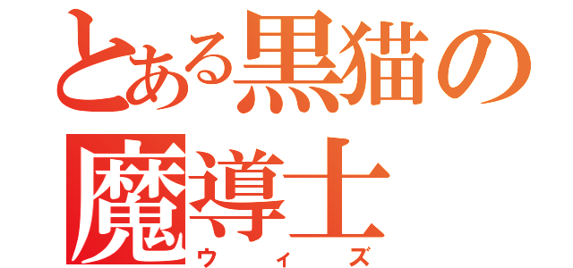 とある黒猫の魔導士（ウィズ）