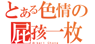 とある色情の屁孩一枚（Ａｌｂｅｒｔ Ｃｈａｎｇ ）