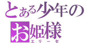 とある少年のお姫様（エリーゼ）