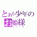 とある少年のお姫様（エリーゼ）