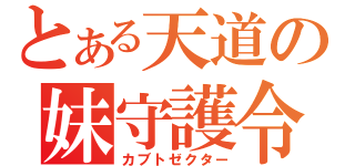 とある天道の妹守護令（カブトゼクター）