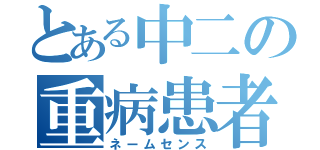 とある中二の重病患者（ネームセンス）