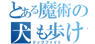 とある魔術の犬も歩けば棒に当たる（ドッグファイト）