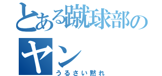 とある蹴球部のヤン（うるさい黙れ）