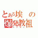 とある埃の爆発教祖（ドナルド）