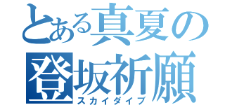 とある真夏の登坂祈願（スカイダイブ）