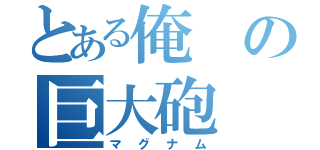 とある俺の巨大砲（マグナム）