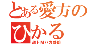 とある愛方のひかる（超ドＭバカ野郎）