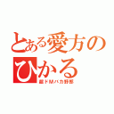 とある愛方のひかる（超ドＭバカ野郎）