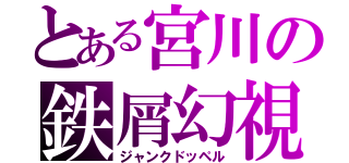 とある宮川の鉄屑幻視（ジャンクドッペル）