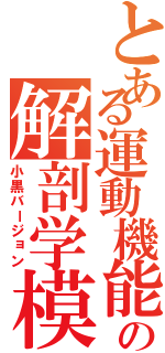 とある運動機能の解剖学模試（小黒バージョン）