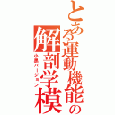 とある運動機能の解剖学模試（小黒バージョン）