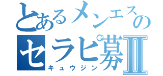 とあるメンエス店のセラピ募集録Ⅱ（キュウジン）