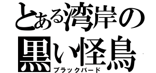 とある湾岸の黒い怪鳥（ブラックバード）