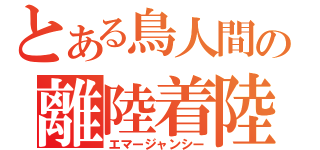 とある鳥人間の離陸着陸（エマージャンシー）