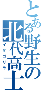 とある野生の北代高士（イケゴリラ）