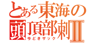 とある東海の頭頂部刺激Ⅱ（今どきザック）