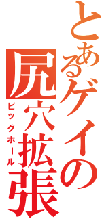 とあるゲイの尻穴拡張（ビッグホール）