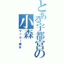 とある宇都宮の小森Ⅱ（サッカー選手）