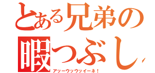 とある兄弟の暇つぶし（アッーウッウッイーネ！）