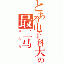 とある电子科大の最二马（田文马）