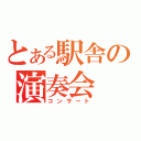 とある駅舎の演奏会（コンサート）