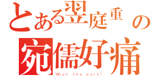 とある翌庭重擊の宛儒好痛（Ｗｈａｔ ｔｈｅ ｐａｒｋ！）