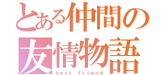 とある仲間の友情物語（ｂｅｓｔ ｆｒｉｅｎｄ）