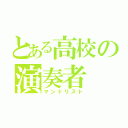 とある高校の演奏者（マンドリスト）