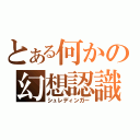 とある何かの幻想認識（シュレディンガー）