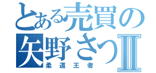 とある売買の矢野さつきⅡ（柔道王者）