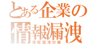 とある企業の情報漏洩対策（情報漏洩対策）