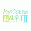 とある会社員の波乱拳圧者Ⅱ（ＡＲＡＳＨＩ）